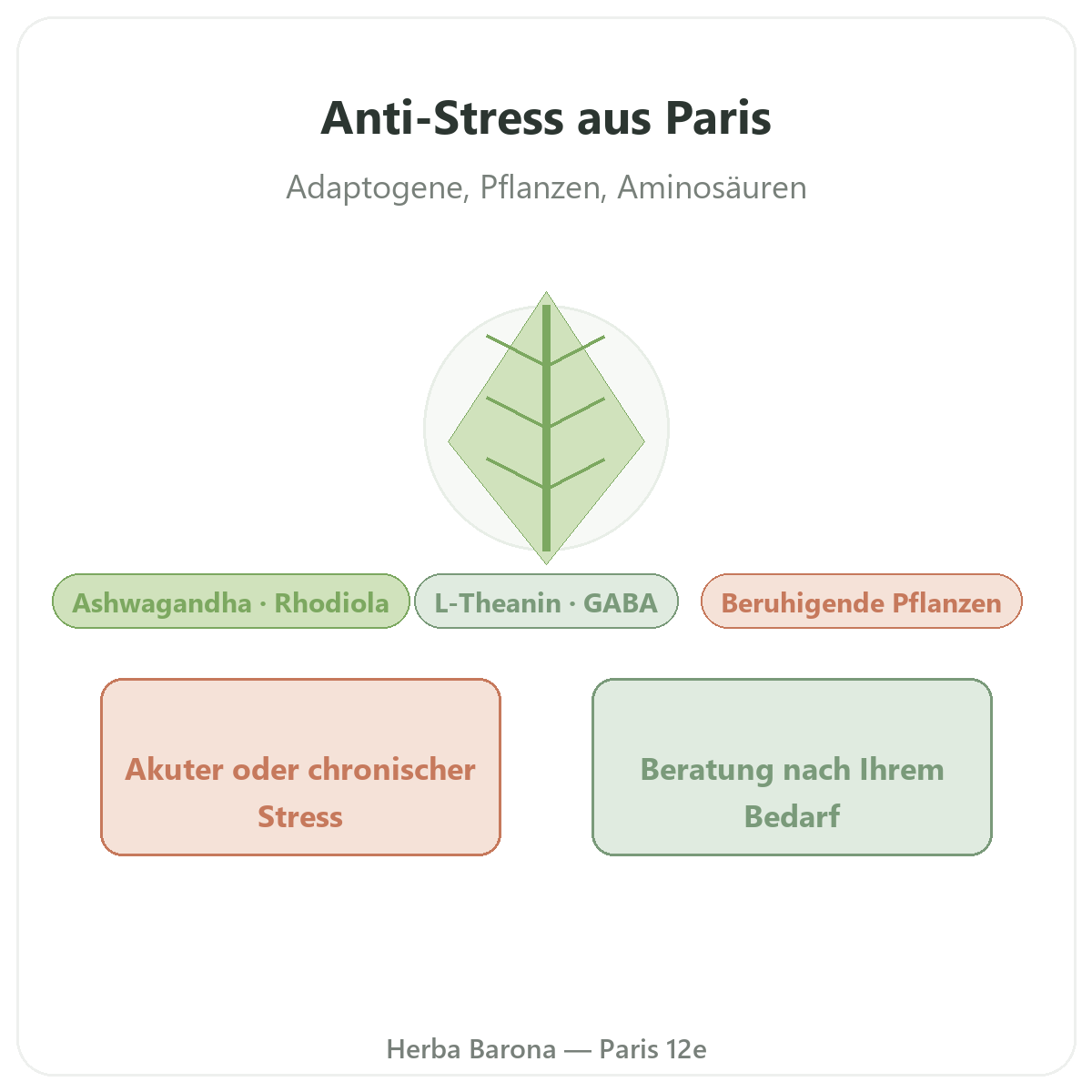Anti-Stress in Paris - Markenvorstellung bei Herba Barona Paris 12e
