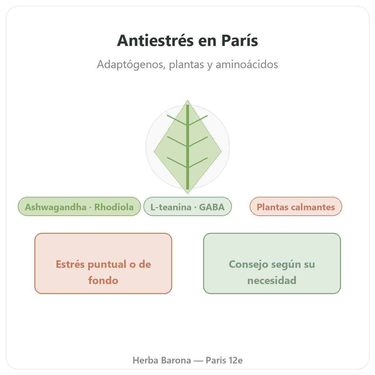 Antiestres Paris - presentacion de la marca en Herba Barona Paris 12e