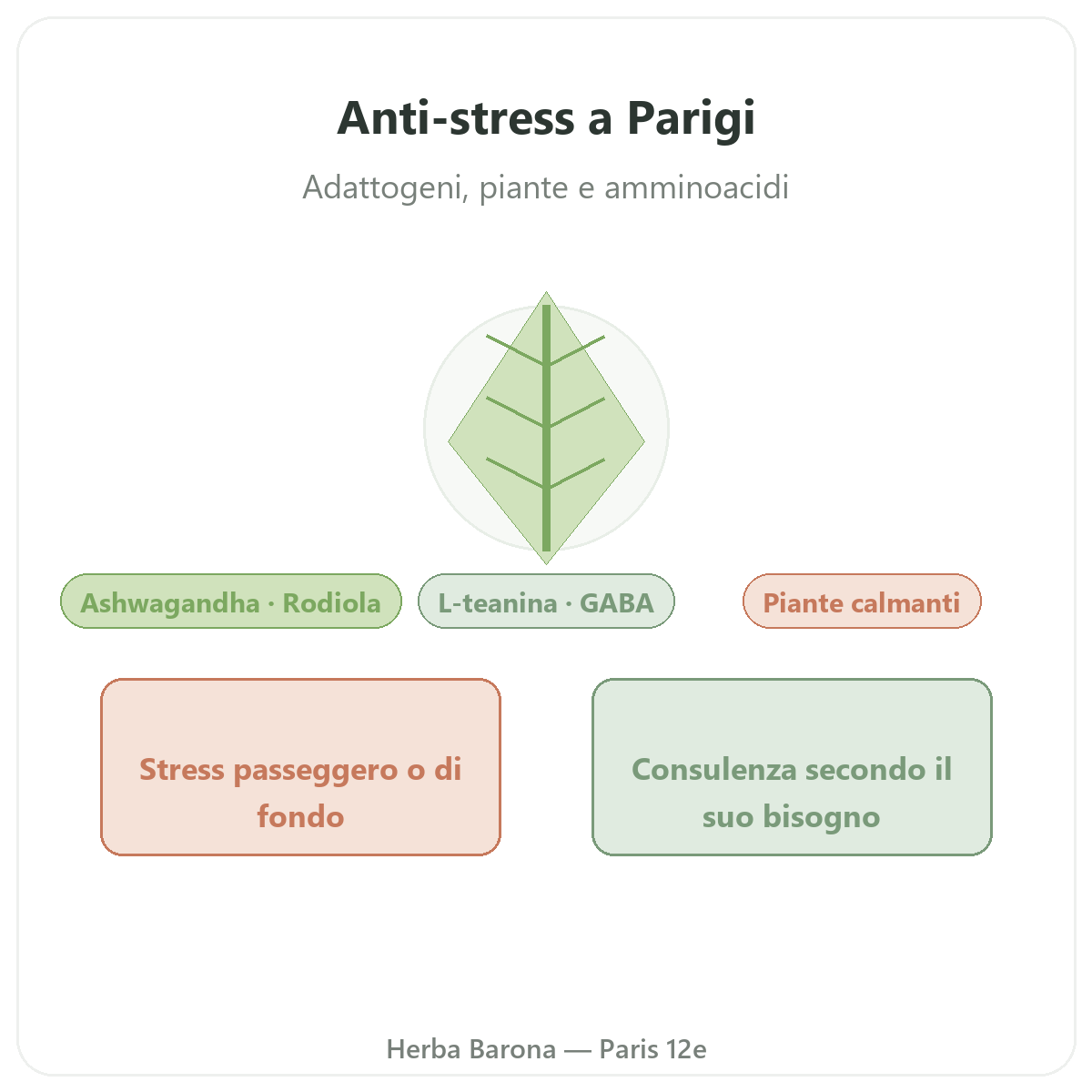 Antistress Parigi - presentazione del marchio da Herba Barona Parigi 12e