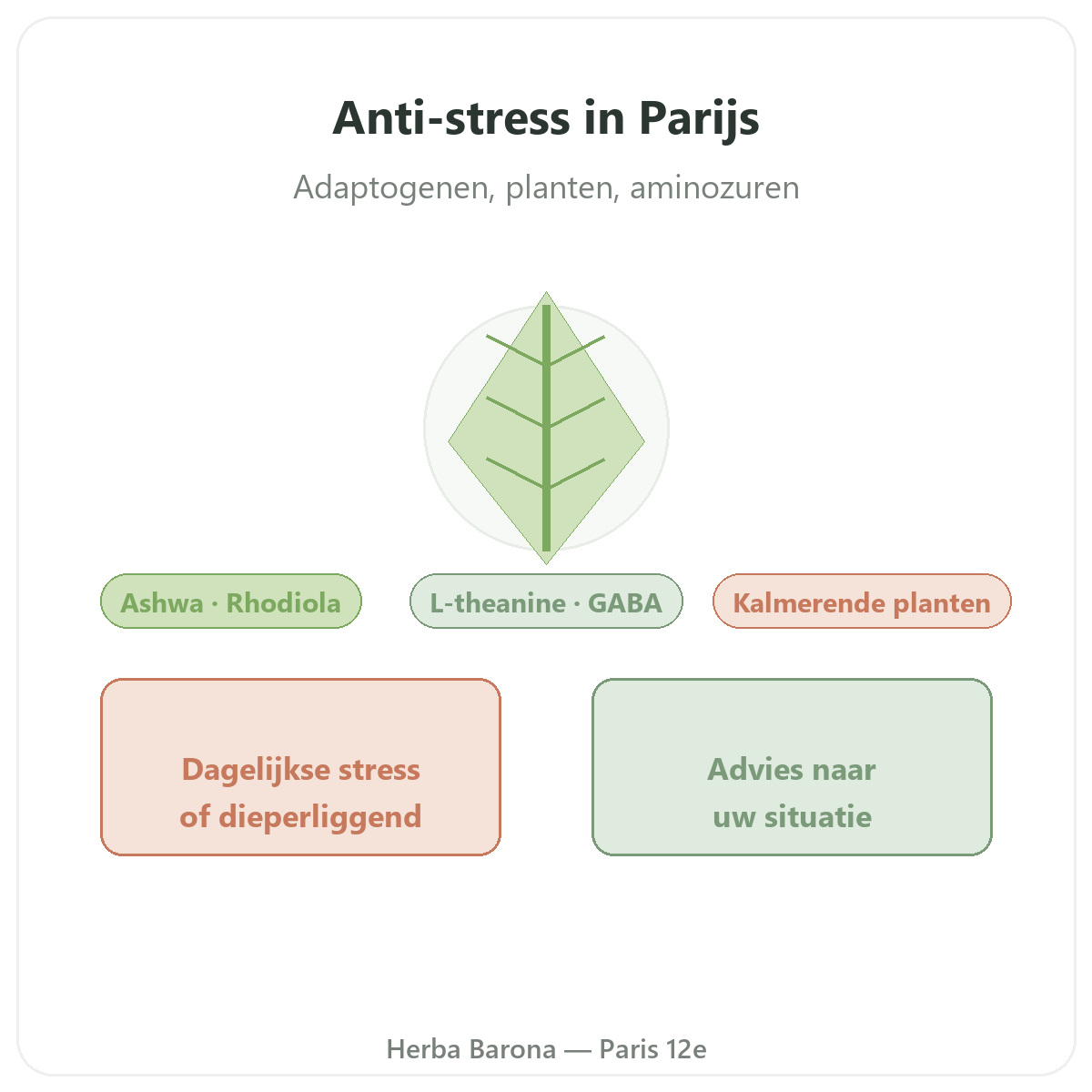 Anti-stress Paris Paris - presentation de la marque chez Herba Barona Paris 12e