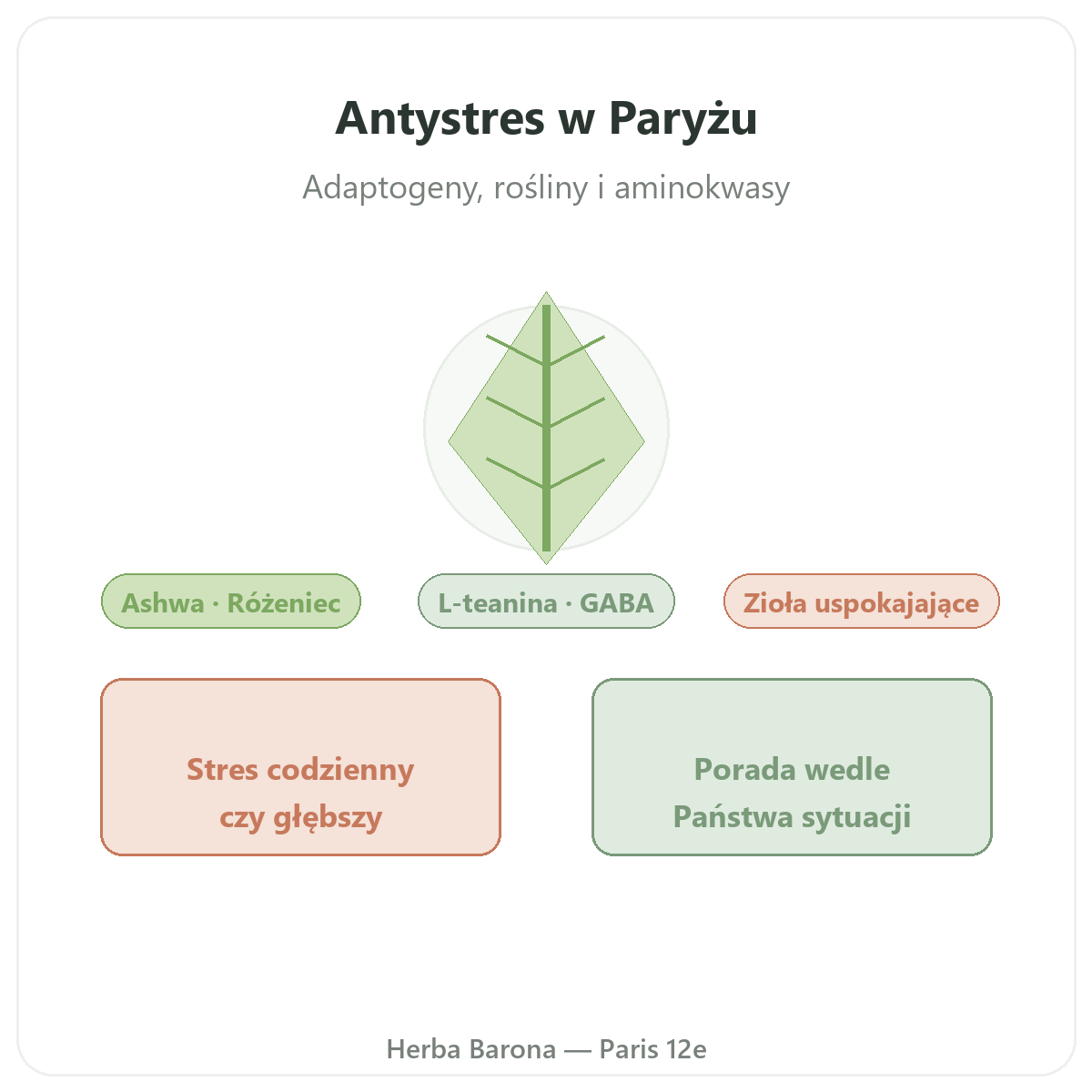 Antystres w Paryżu - prezentacja oferty u Herba Barona Paryż 12
