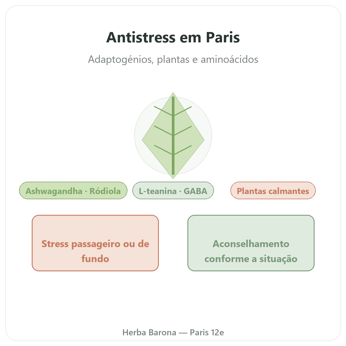Antistress Paris - apresentacao da marca na Herba Barona Paris 12e
