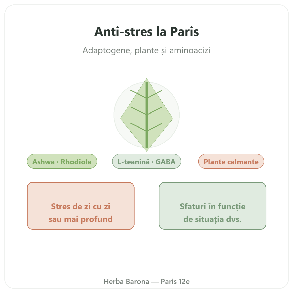 Anti-stres Paris - prezentarea marcii la Herba Barona Paris, arondismentul 12