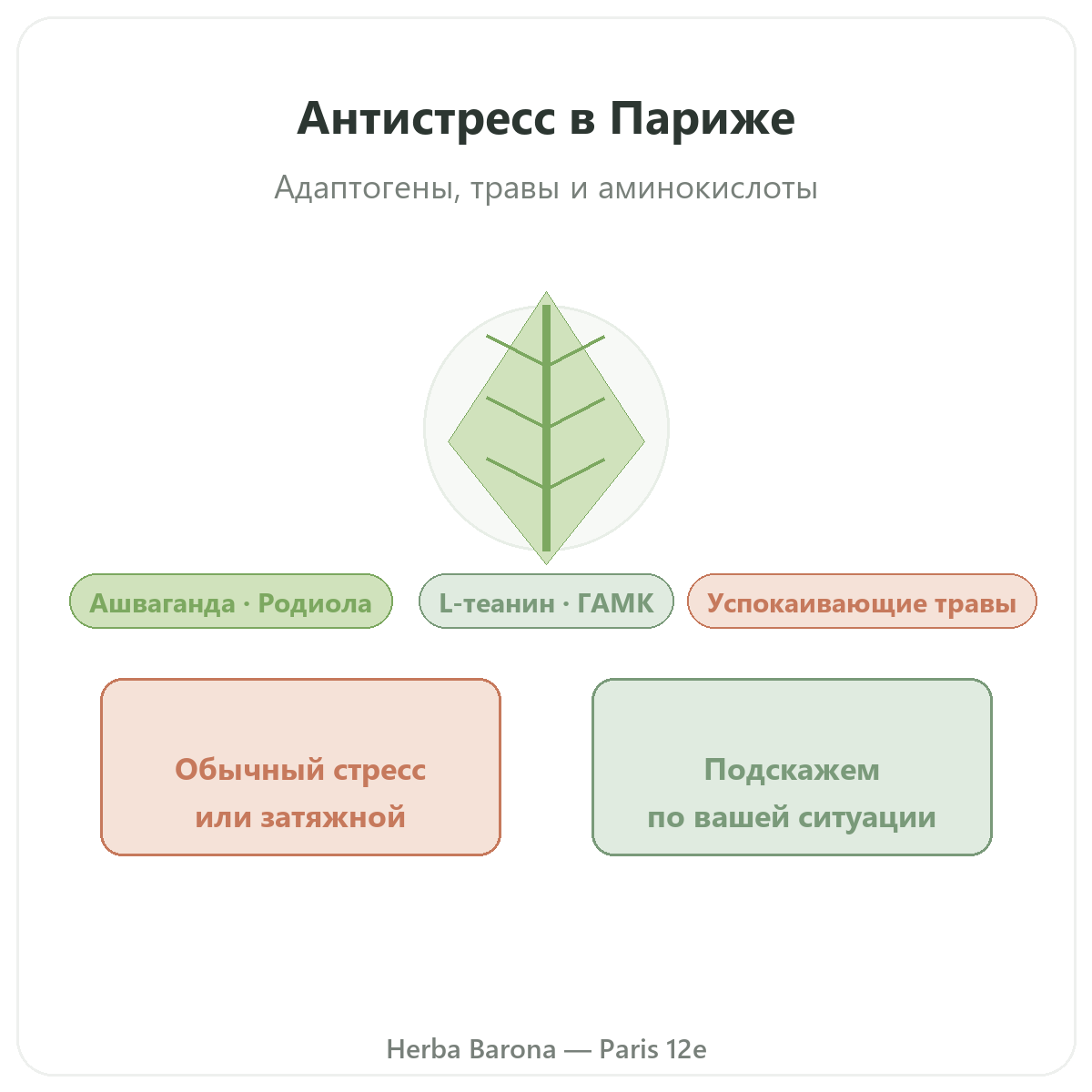 Антистресс Париж — презентация в магазине Herba Barona, Париж, 12-й округ