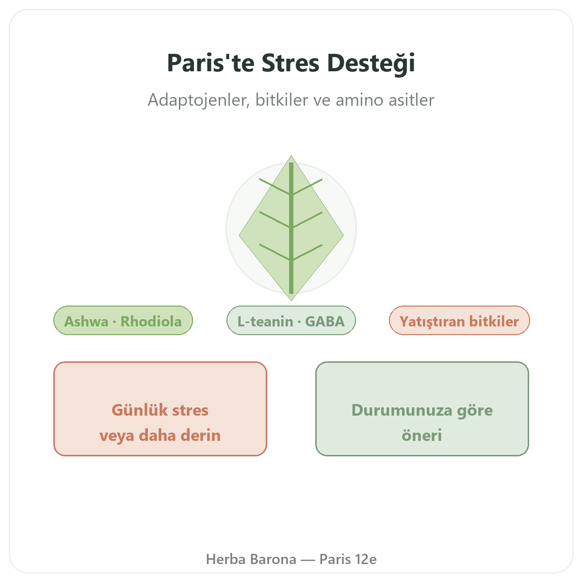 Paris’te Anti-stres - Herba Barona Paris 12. bölgede tanıtım