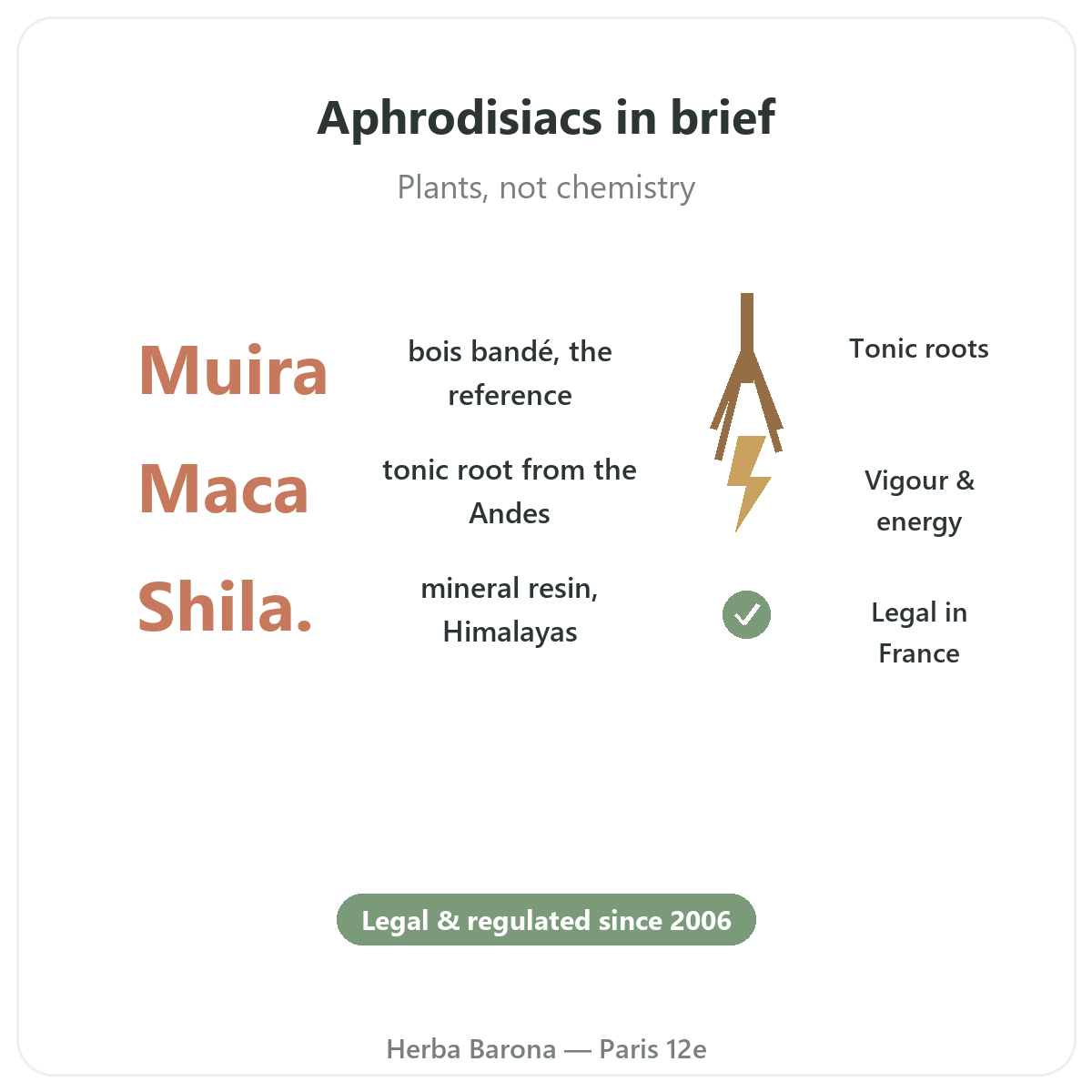 Natural aphrodisiacs at a glance — bois bandé, maca, shilajit — Herba Barona Paris 12th