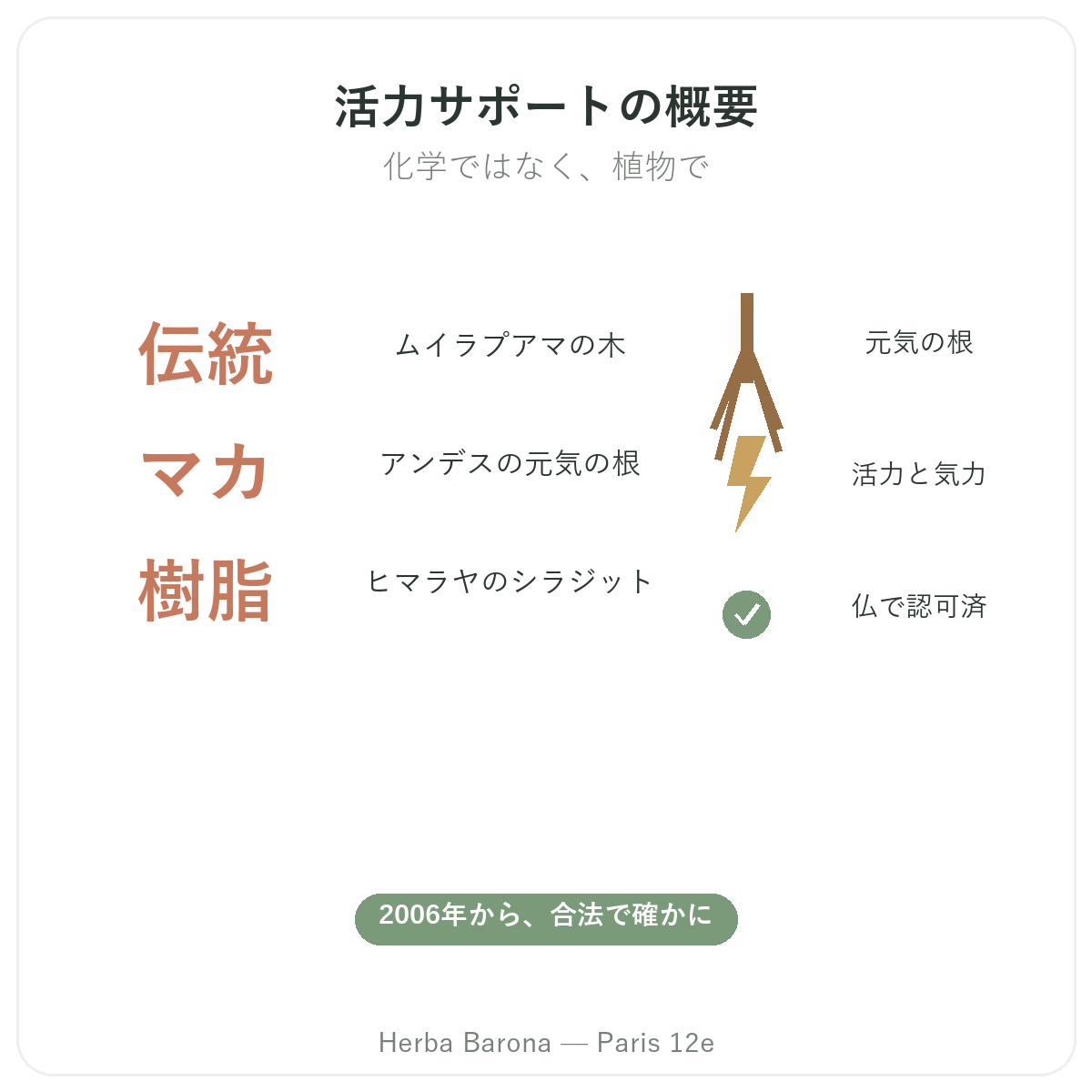 天然精力サプリメント概要 — ボワバンデ、マカ、シラジット — Herba Barona パリ12区