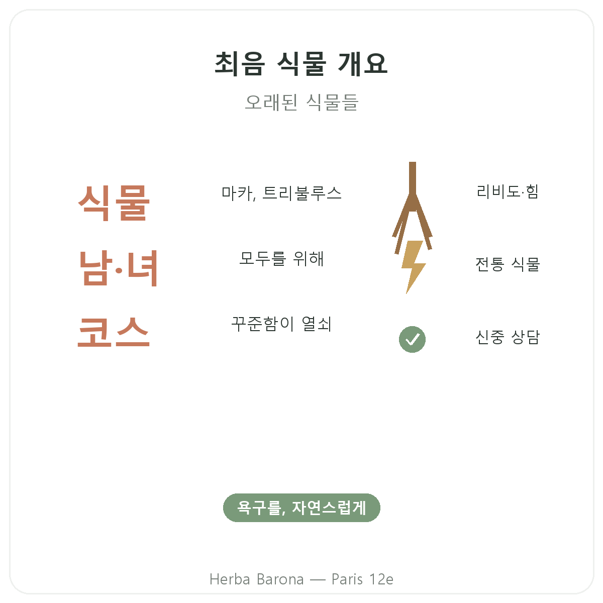 천연 최음/활력 식물 요약 — 부아 방데, 마카, 실라짓 — Herba Barona 파리 12구