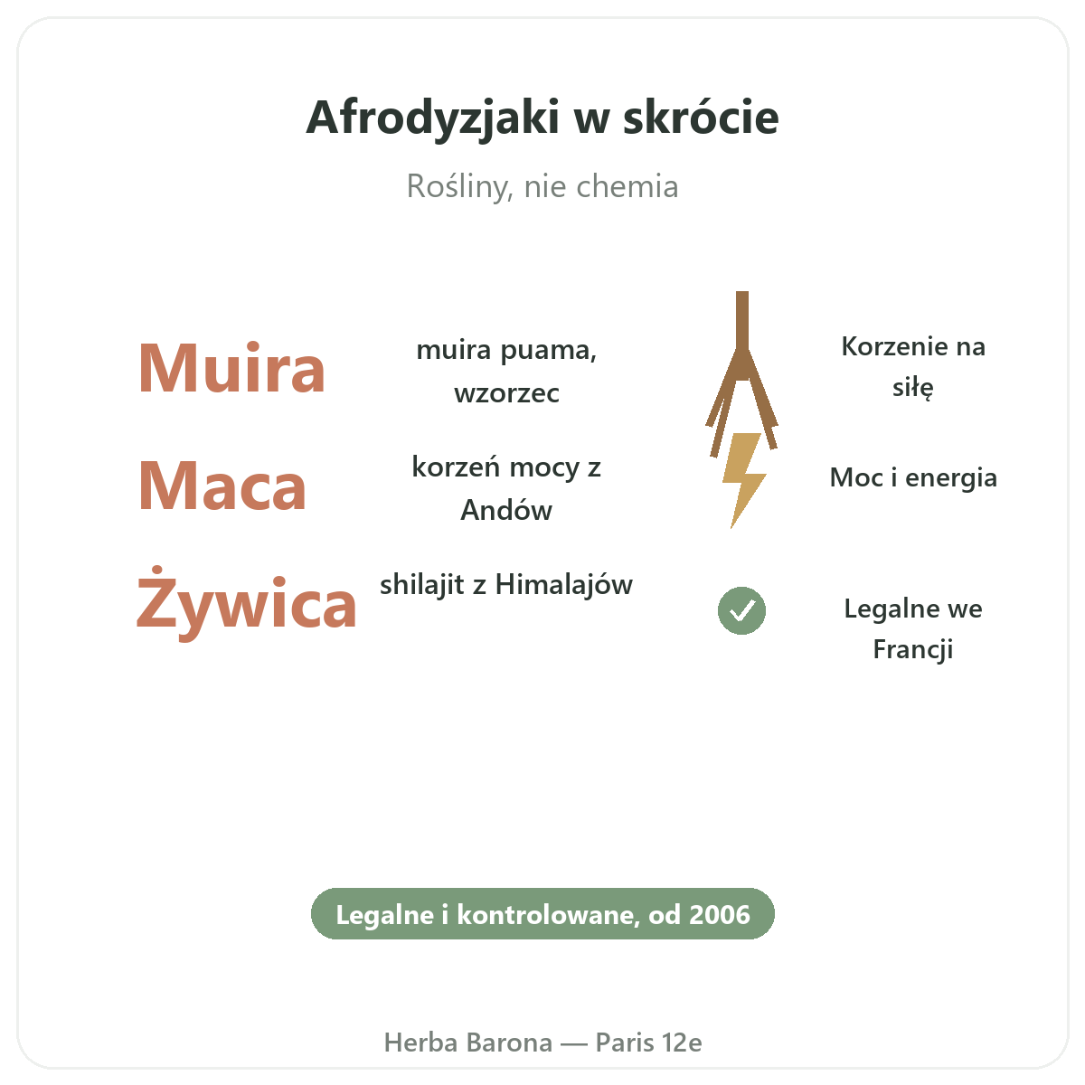 Naturalne afrodyzjaki w skrócie — bois bandé, maca, shilajit — Herba Barona Paris 12e