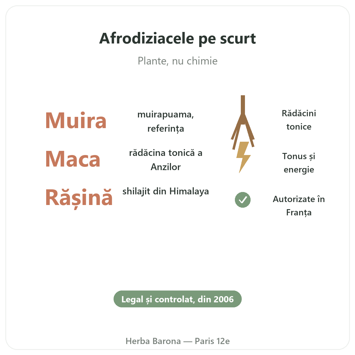 Afrodisiace naturale pe scurt — muira puama, maca, shilajit — Herba Barona Paris, arondismentul 12
