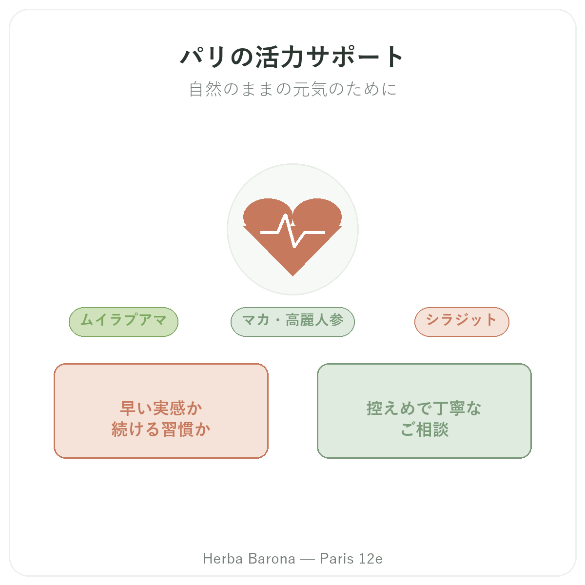 パリの天然精力サプリメント — 紹介 — Herba Barona パリ12区