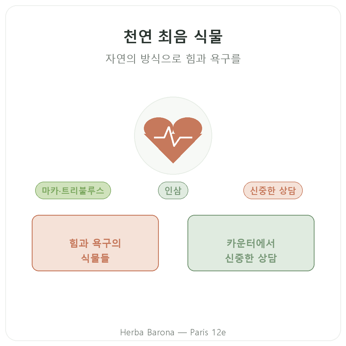 파리의 천연 최음/활력 식물 — 소개 — Herba Barona 파리 12구