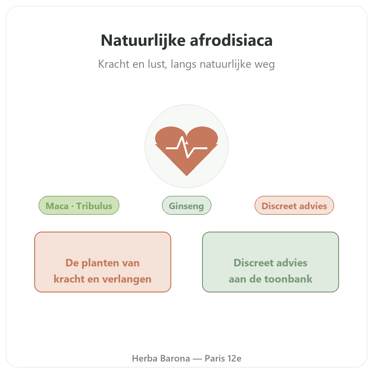 Natuurlijke afrodisiaca in Parijs — presentatie — Herba Barona Parijs 12e