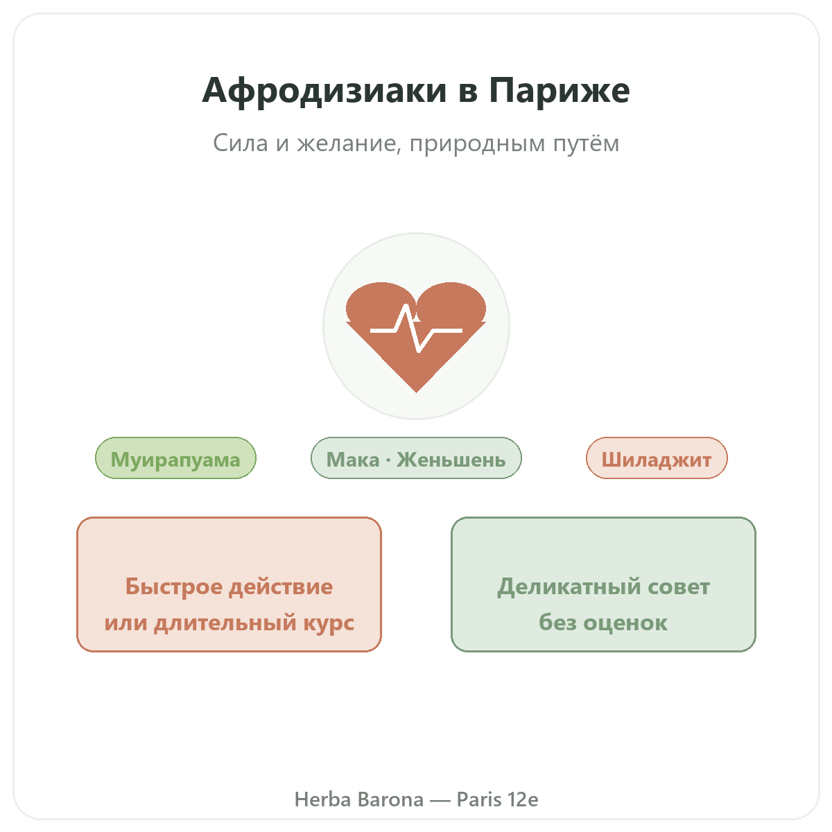 Натуральные афродизиаки в Париже — представление — Herba Barona Париж, 12-й округ