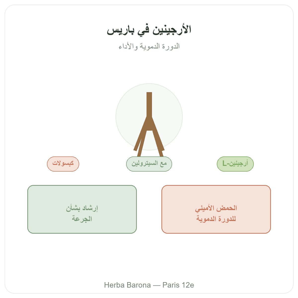 Arginine Paris Paris - presentation de la marque chez Herba Barona Paris 12e