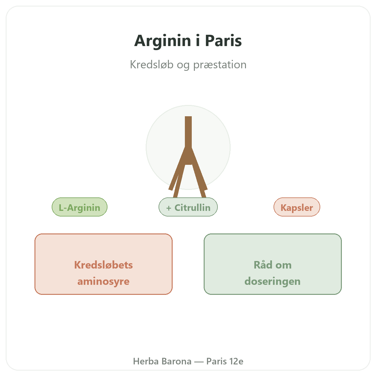 Arginin Paris - præsentation af mærket hos Herba Barona Paris 12