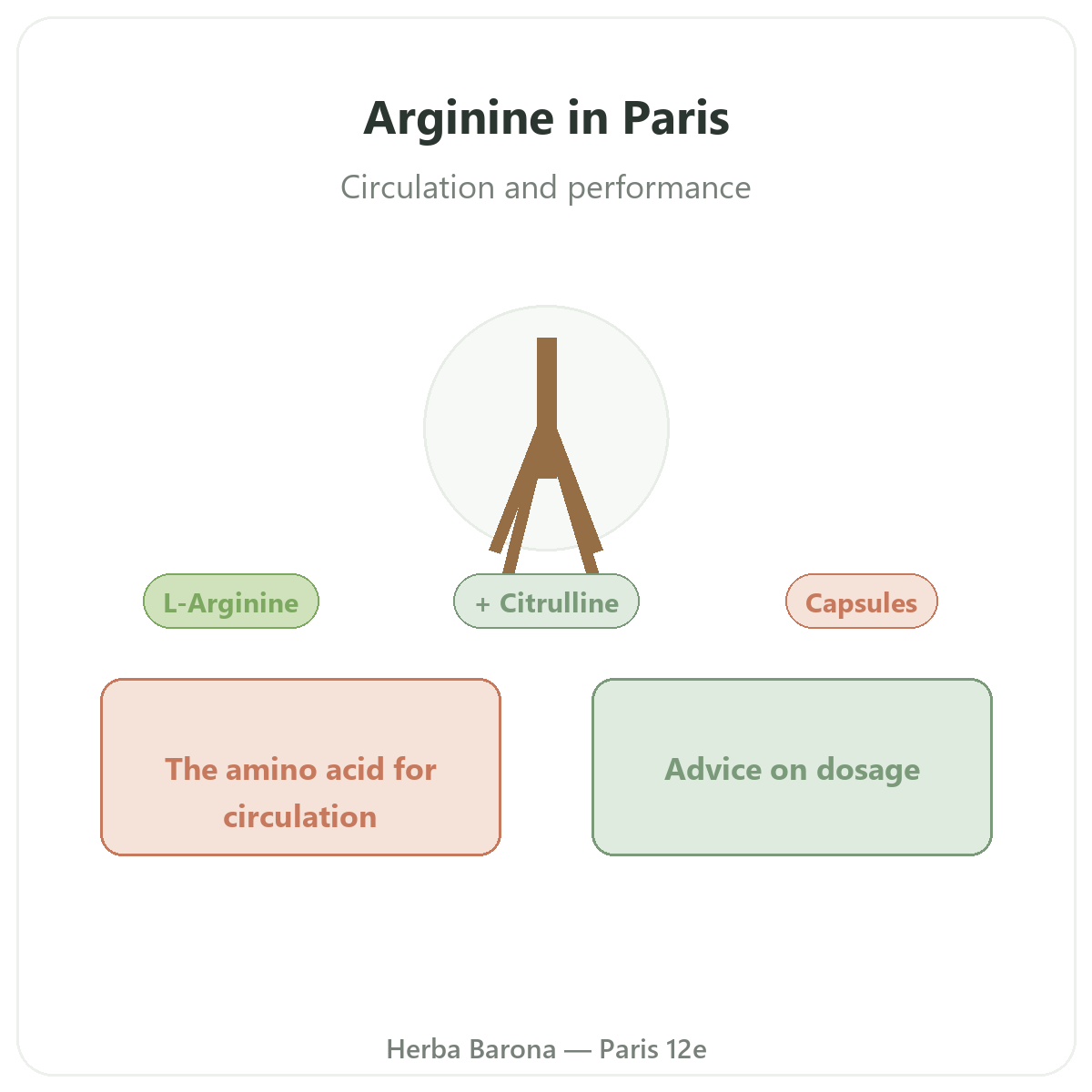 Arginine in Paris - brand overview at Herba Barona Paris 12th