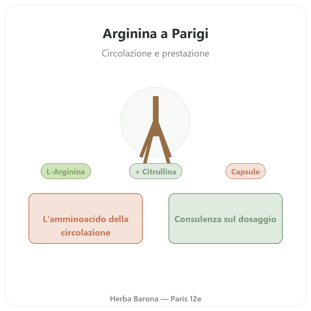 Arginina Parigi Parigi - presentazione del marchio da Herba Barona Parigi 12e