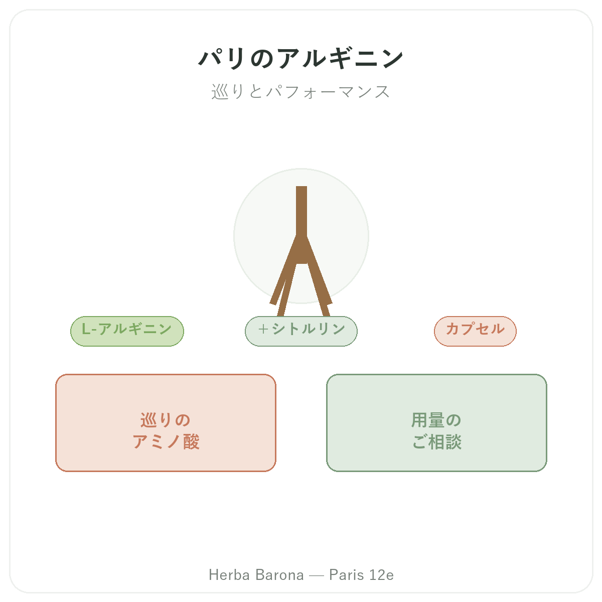 アルギニン パリ パリ - Herba Baronaのブランド紹介 パリ12区
