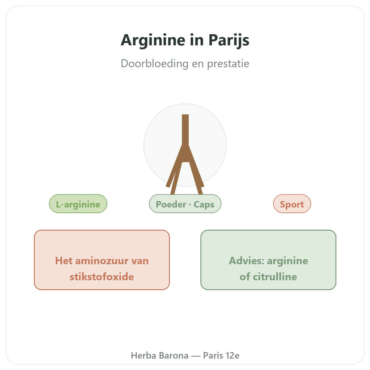 Arginine Parijs - presentatie van het merk bij Herba Barona Parijs 12e
