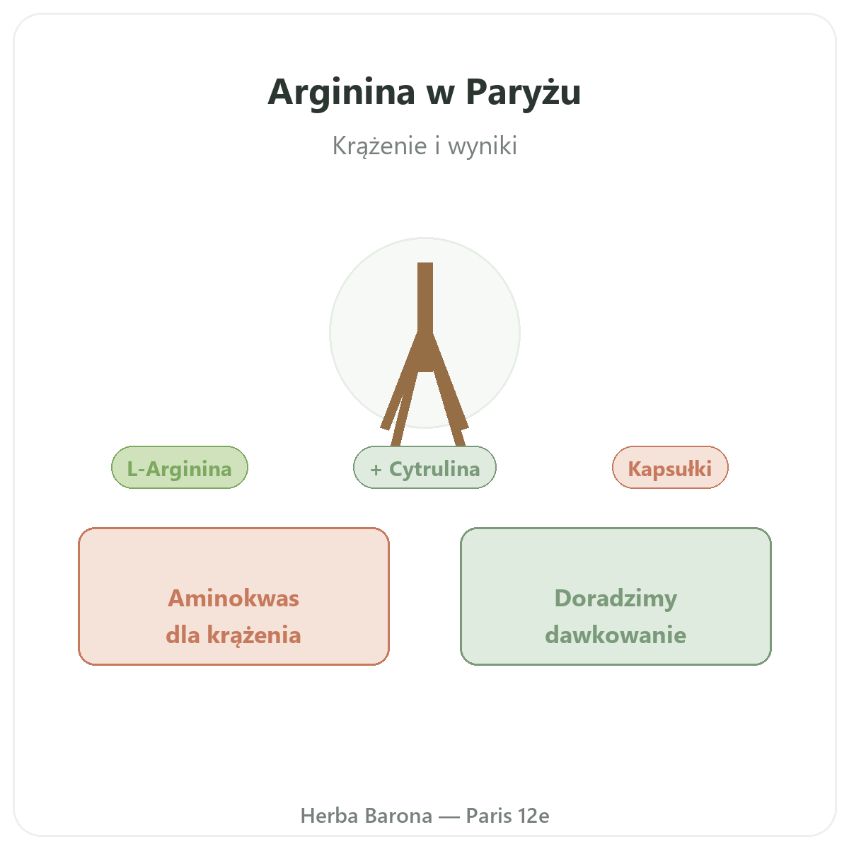 Arginina - prezentacja oferty w sklepie Herba Barona, wysyłka do Polski