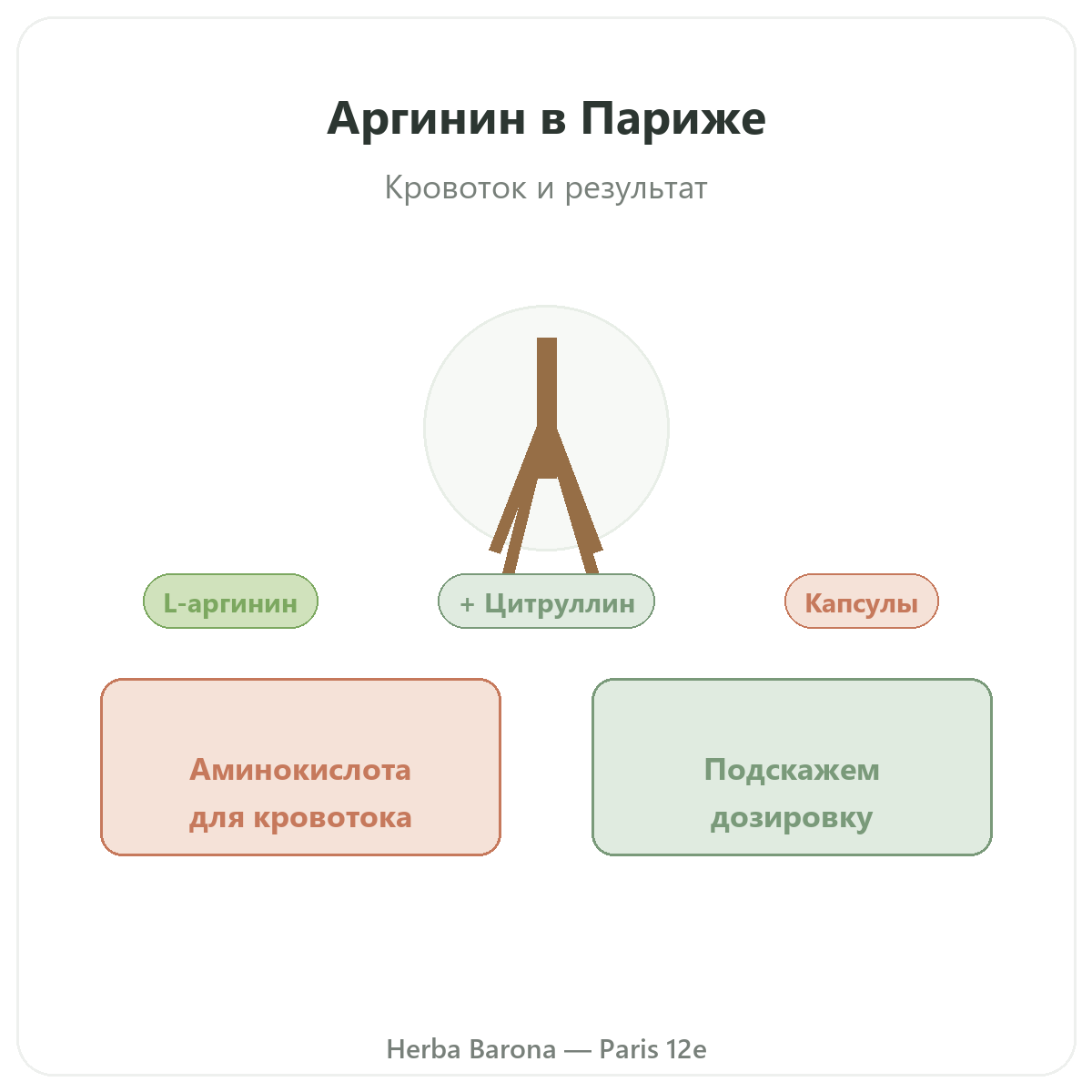 Аргинин Париж — презентация марки в Herba Barona, Париж, 12-й округ