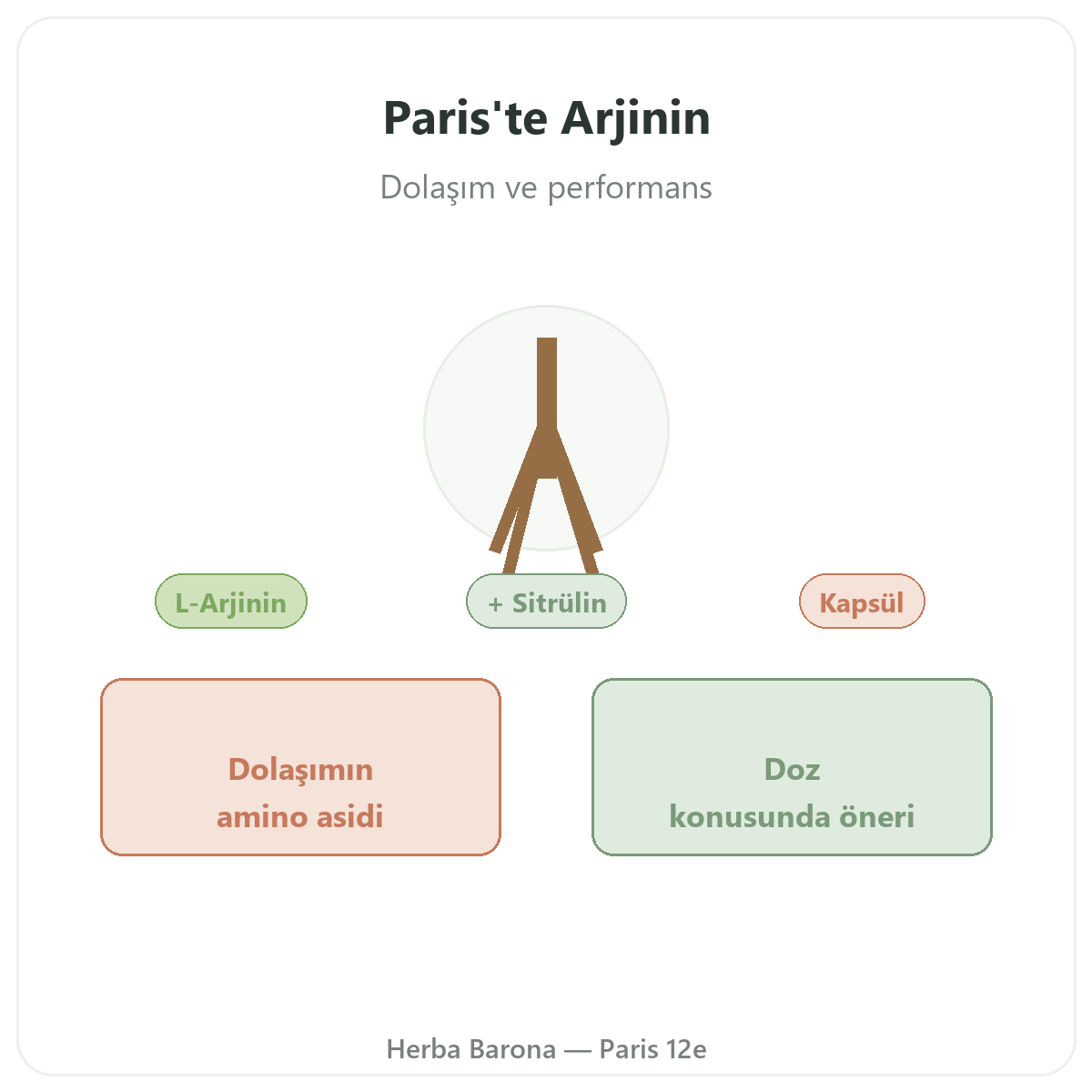 Arginin Paris Paris - Herba Barona Paris 12. bölgede marka tanıtımı