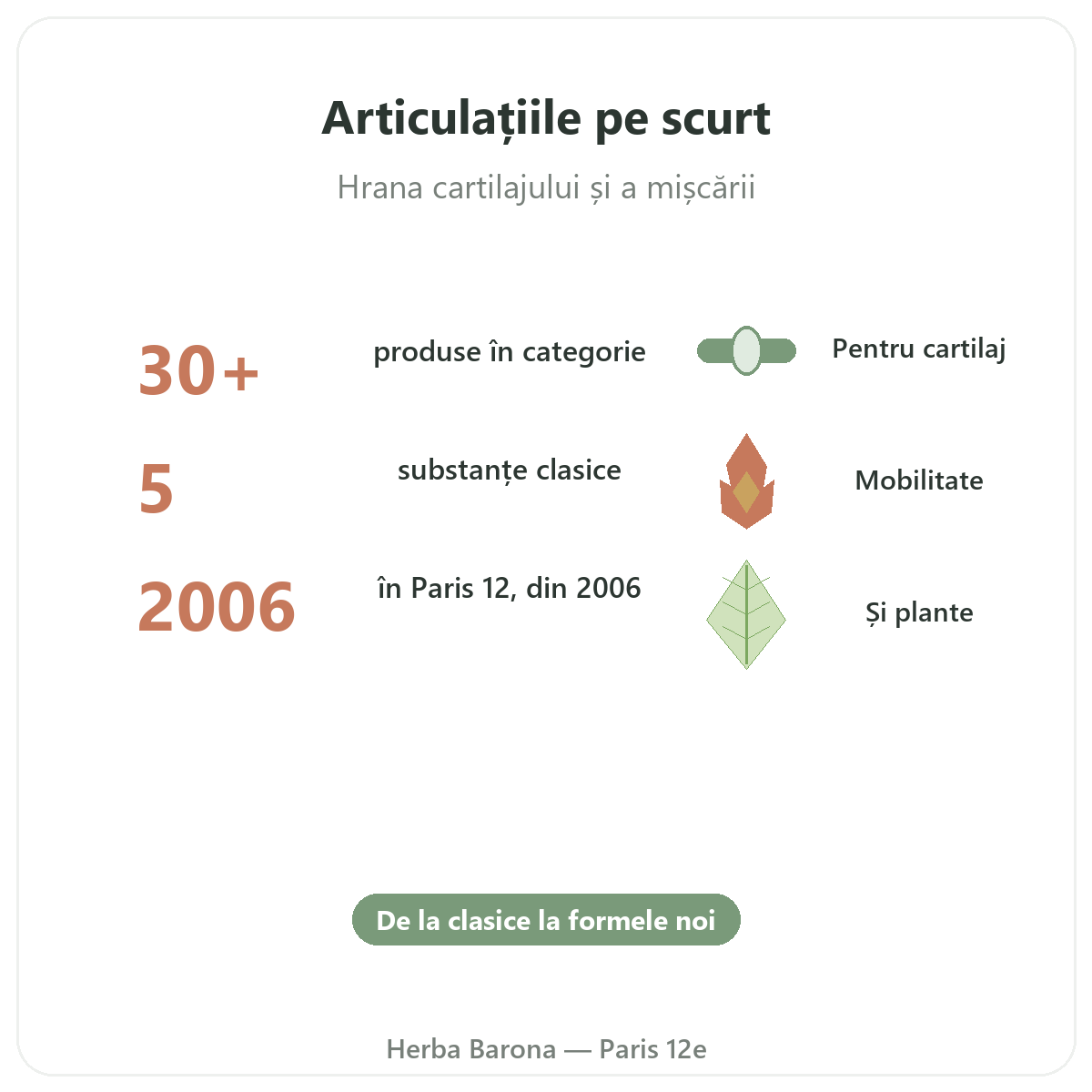 Articulații Paris pe scurt - cifre cheie la Herba Barona Paris, arondismentul 12