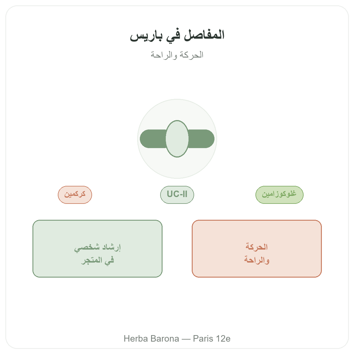المفاصل في باريس - تقديم الفئة لدى Herba Barona باريس 12