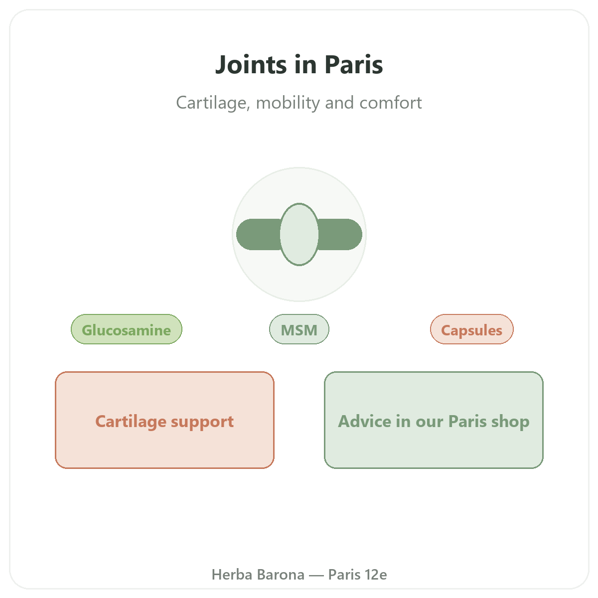 Articulations Paris Paris - presentation de la marque chez Herba Barona Paris 12e