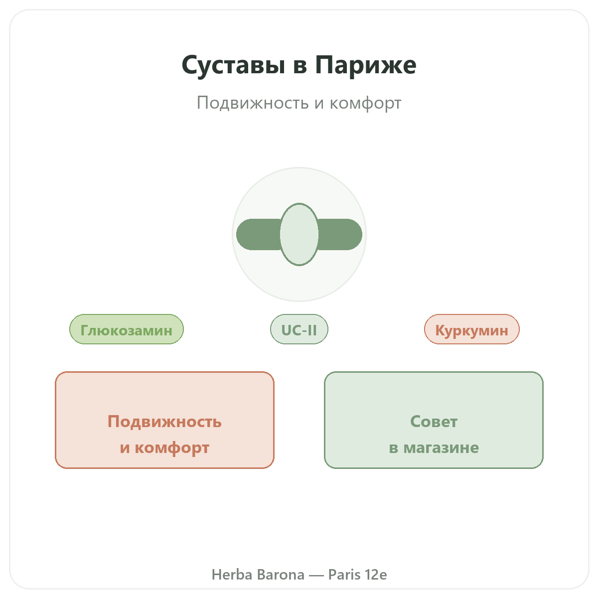 Суставы Париж — представление категории в Herba Barona Париж, 12-й округ