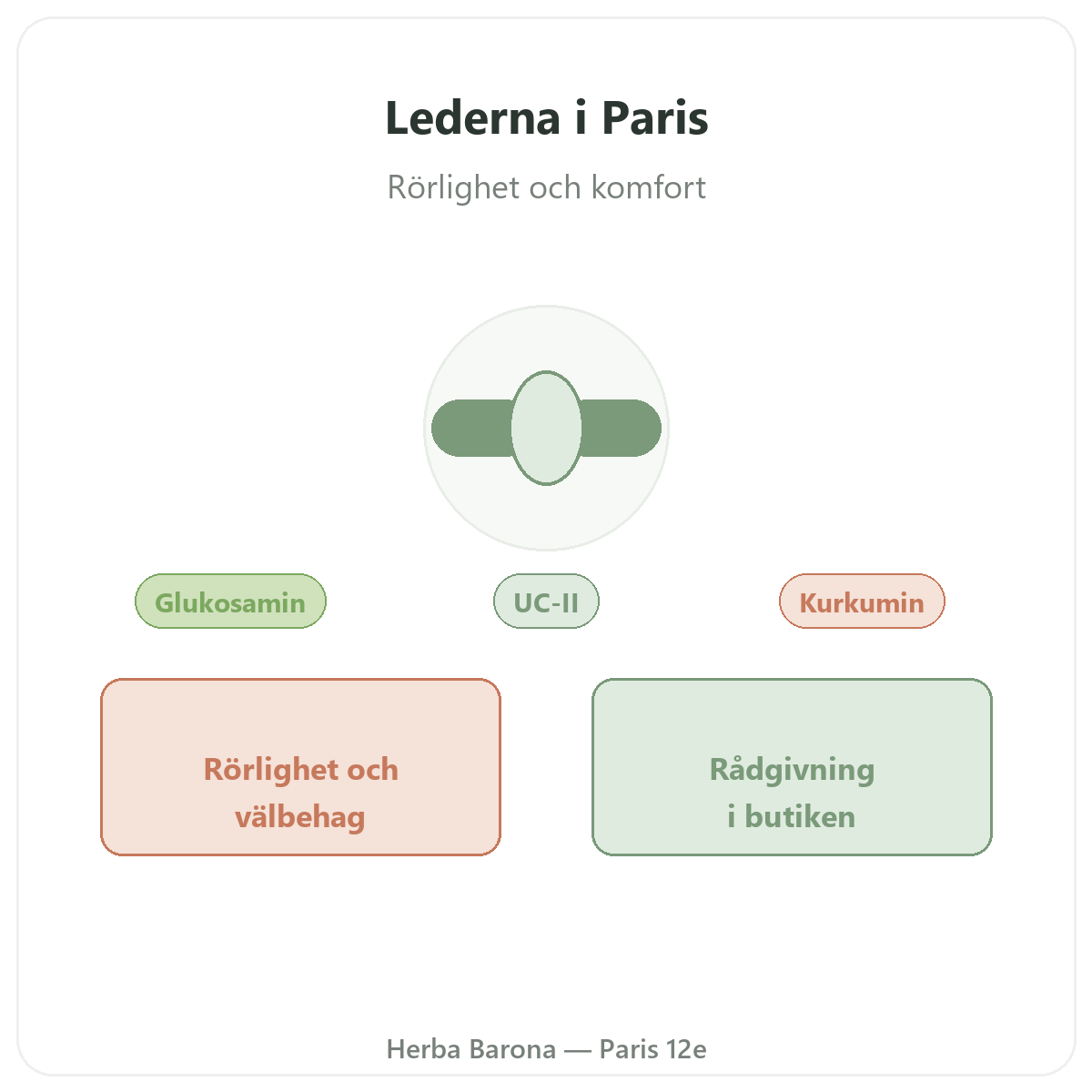 Leder i Paris – presentation hos Herba Barona Paris 12e