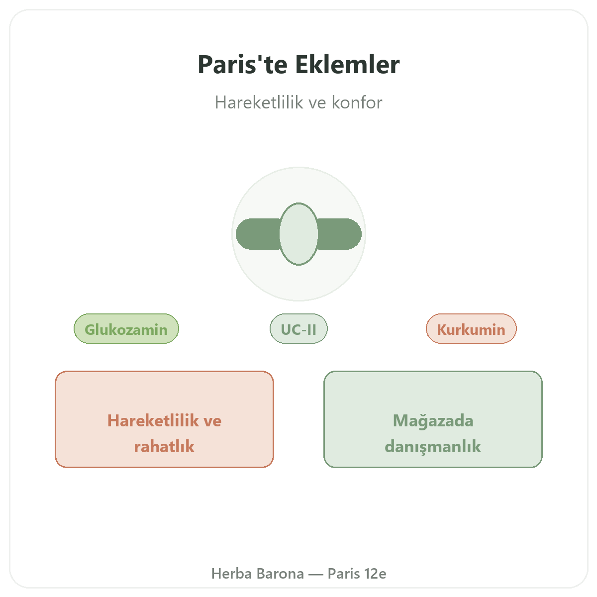 Eklemler Paris - Herba Barona Paris 12. bölgede marka tanıtımı