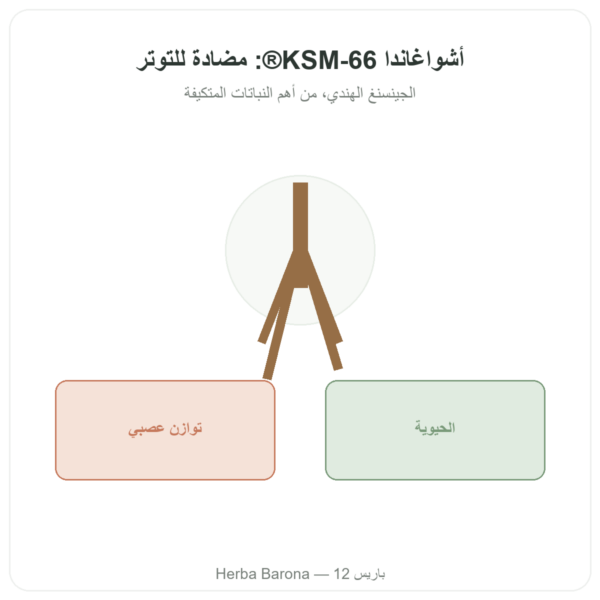 أشواغاندا عضوية KSM-66® – Novoma – 60 كبسولة عرض المنتج Paris Herba Barona