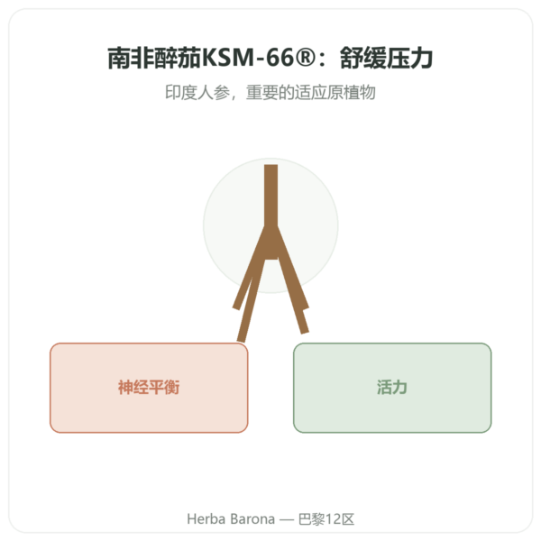 KSM-66® 有机南非醉茄(Ashwagandha)– Novoma – 60粒装 产品展示 Paris Herba Barona