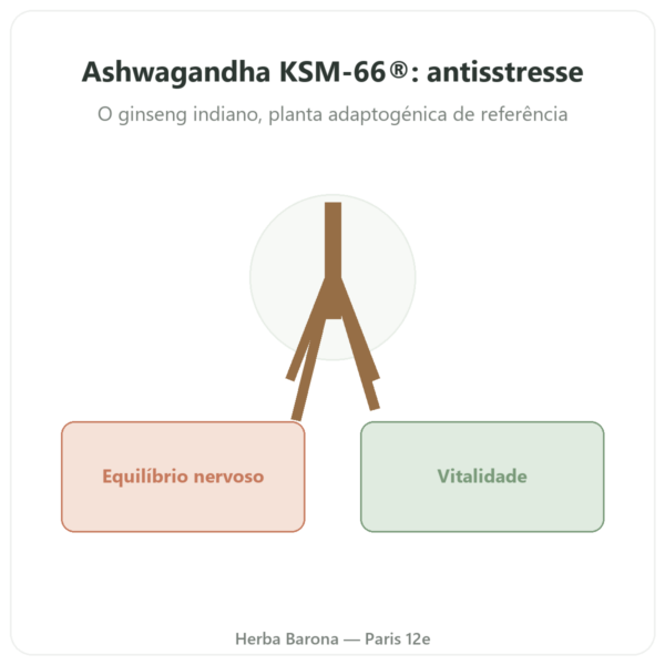Ashwagandha Bio KSM-66® Novoma 60 cápsulas apresentação Paris Herba Barona