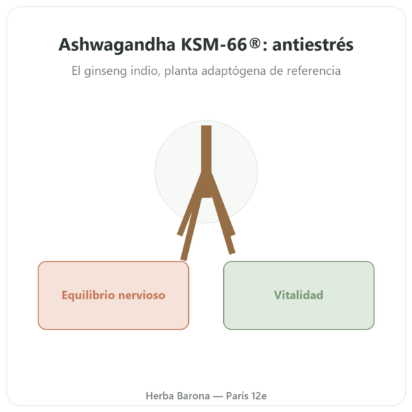 Ashwagandha BIO KSM-66® – Novoma – 60 cápsulas presentación Paris Herba Barona