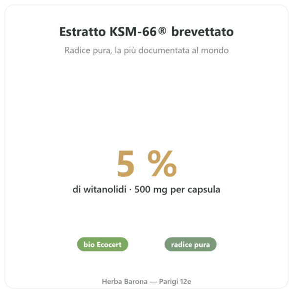 Ashwagandha bio KSM-66® – Novoma – 60 capsule benefici e dati chiave Paris Herba Barona
