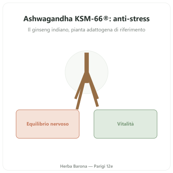 Ashwagandha bio KSM-66® – Novoma – 60 capsule presentazione Paris Herba Barona