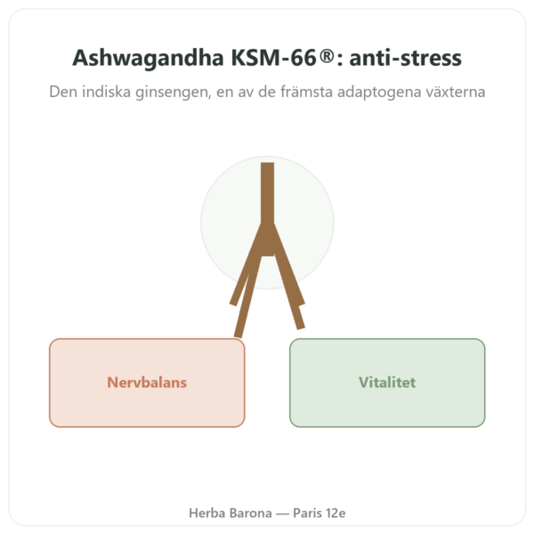 Ashwagandha ekologisk KSM-66® – Novoma – 60 kapslar presentation Paris Herba Barona