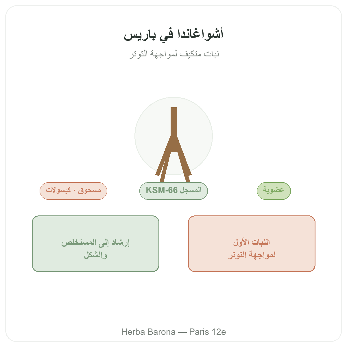 أشواغاندا KSM-66 في باريس - تقديم العلامة لدى Herba Barona باريس الدائرة 12