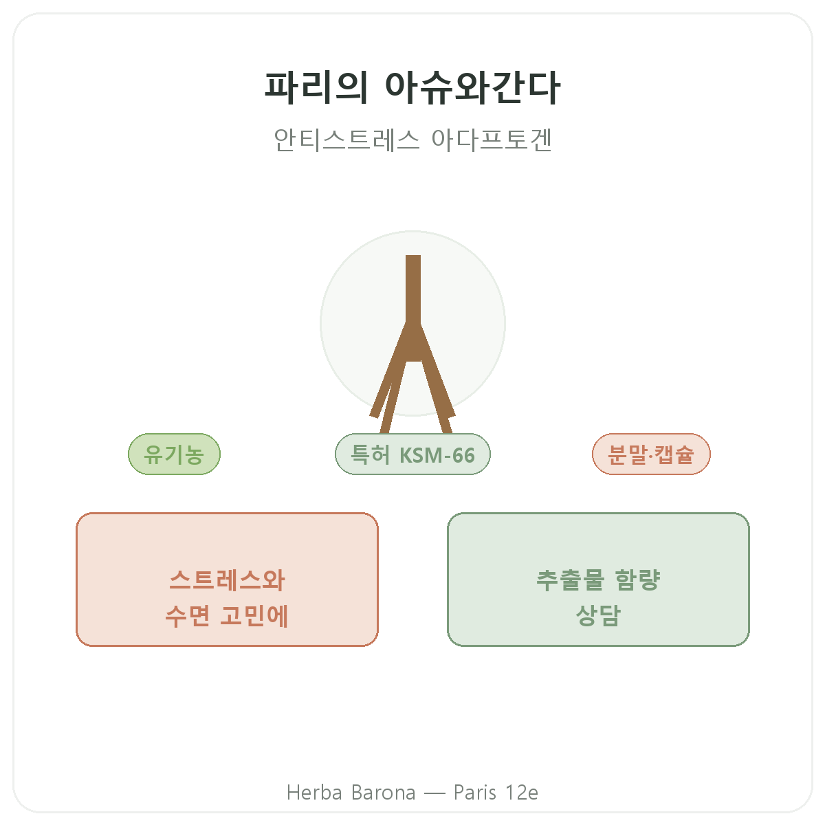 아쉬와간다 KSM-66 파리 - 파리 12구 Herba Barona 브랜드 소개