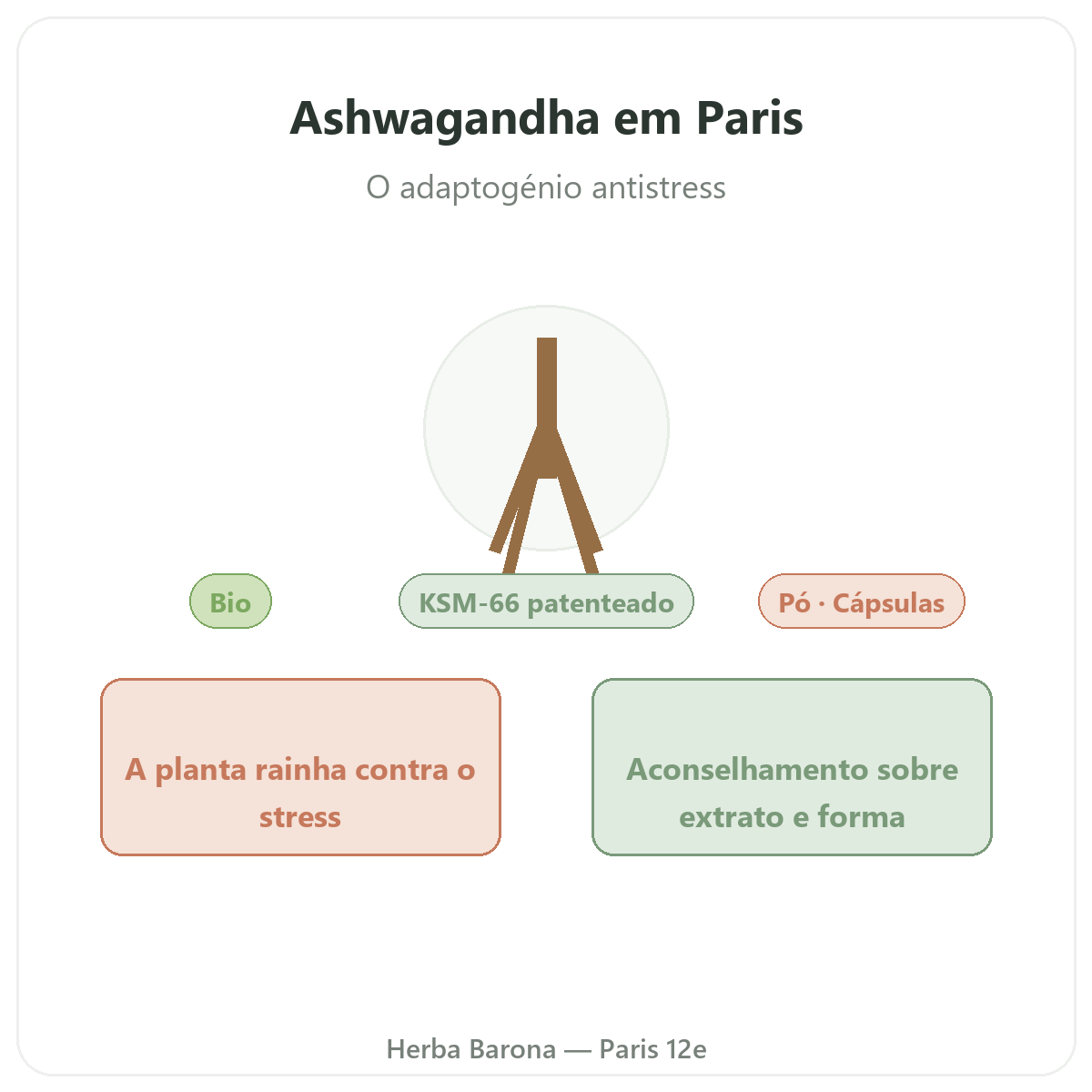 Ashwagandha KSM-66 Paris - apresentação da marca na Herba Barona Paris 12e