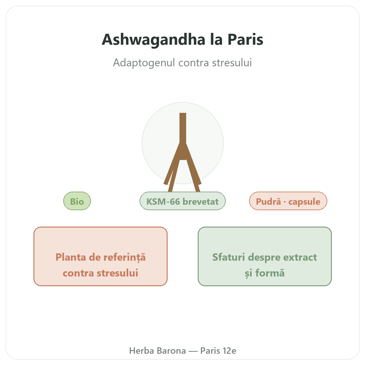 Ashwagandha KSM-66 Paris - prezentarea mărcii la Herba Barona Paris 12e