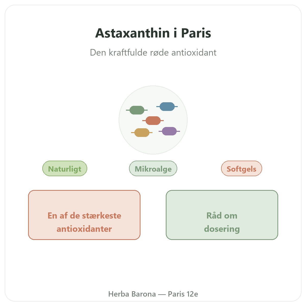 Astaxanthin Paris Paris - præsentation af mærket hos Herba Barona Paris 12