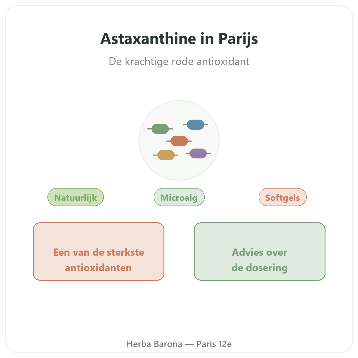 Astaxanthine Parijs - presentatie van het merk bij Herba Barona Parijs 12e