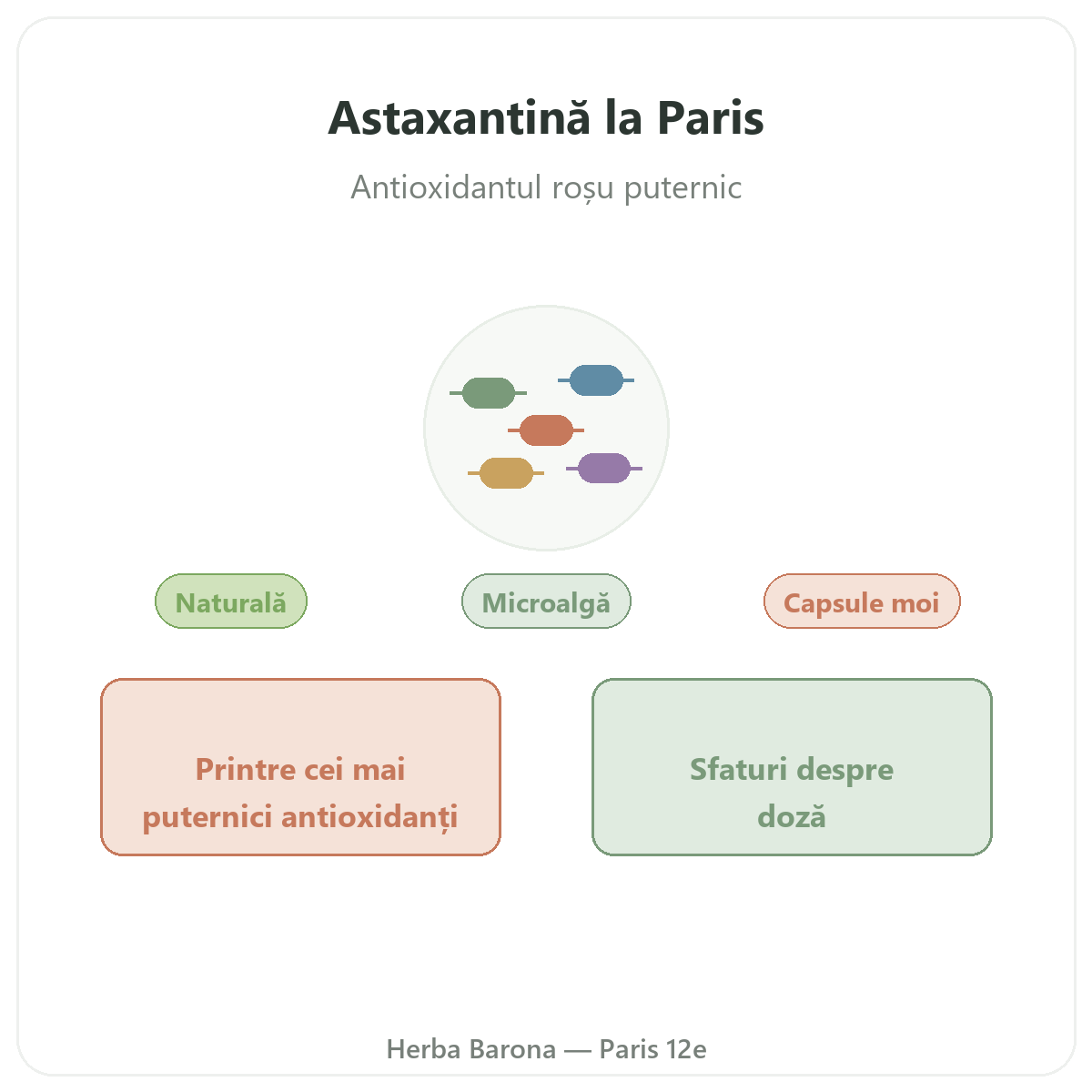 Astaxantina Paris - prezentarea mărcii la Herba Barona Paris 12e