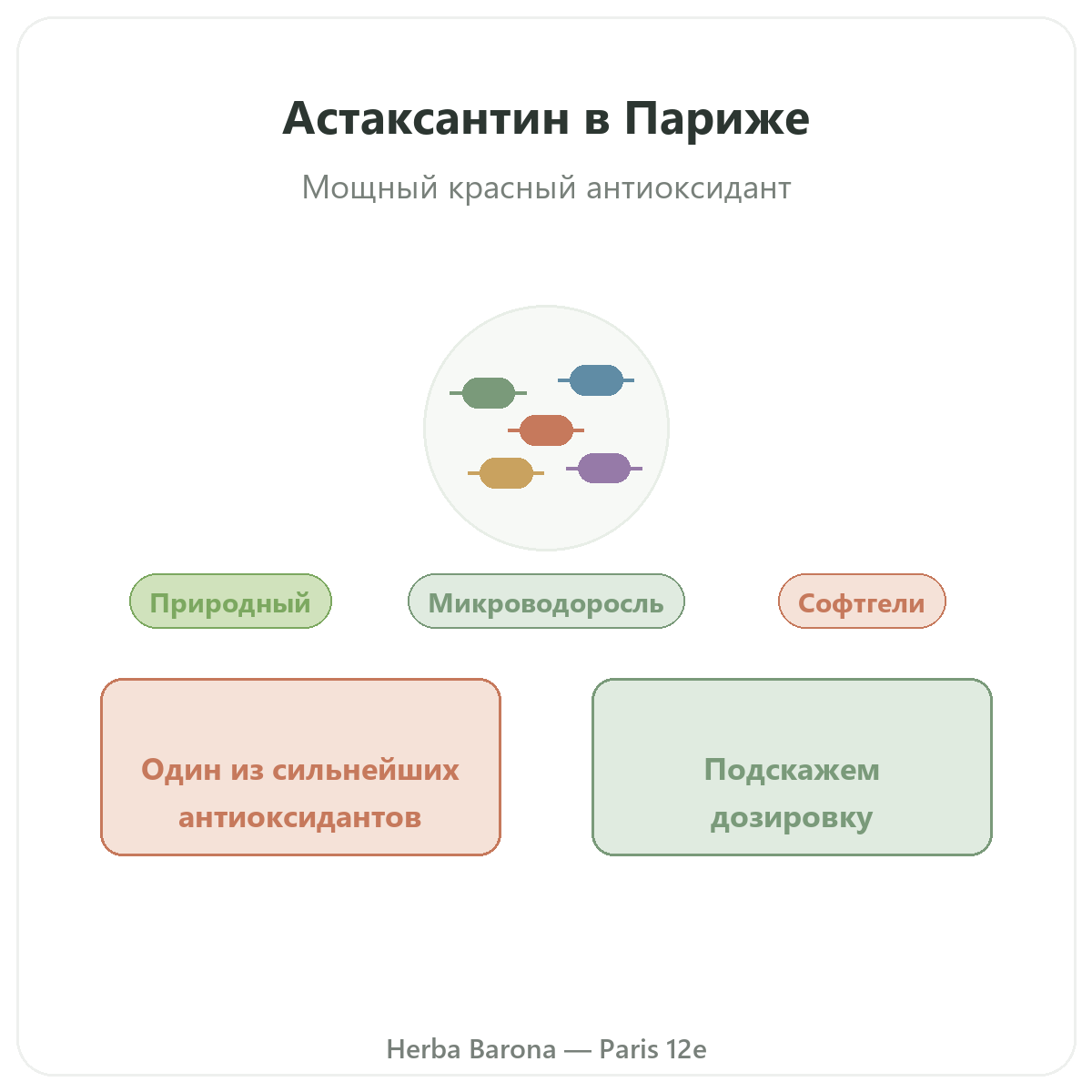 Астаксантин Париж Париж — презентация бренда в Herba Barona, Париж, 12-й округ