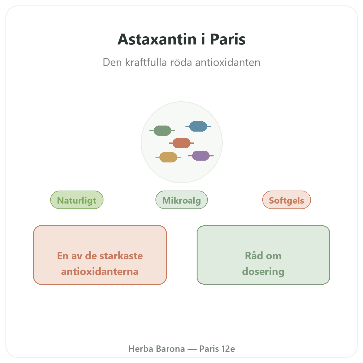 Astaxantin Paris - produktpresentation hos Herba Barona Paris 12e