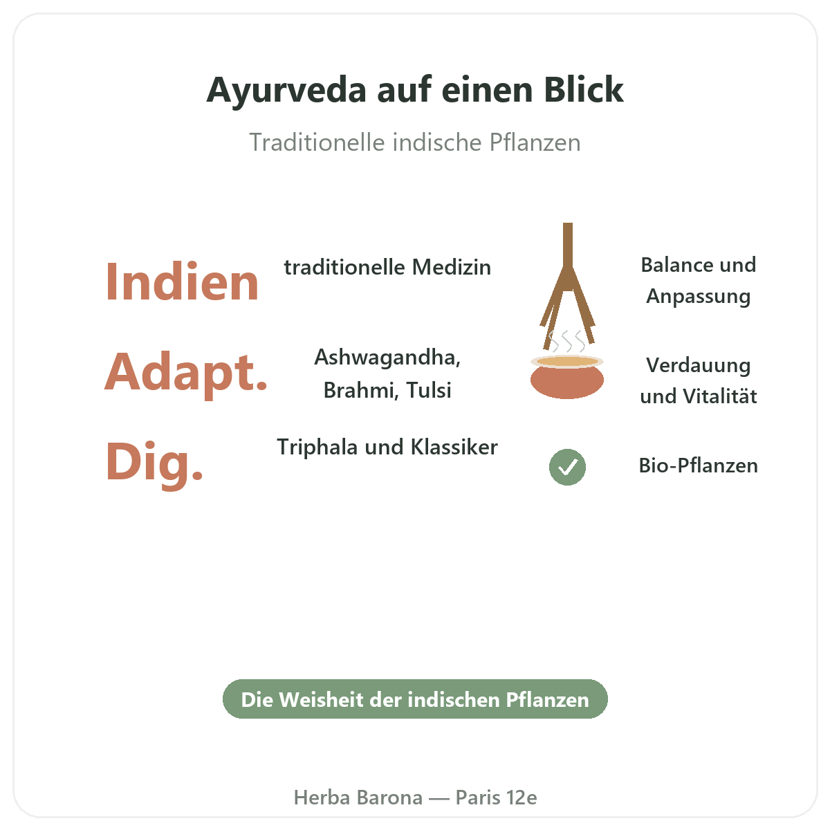 Ayurvedische Pflanzen in Paris im Überblick – wichtige Zahlen bei Herba Barona Paris 12e